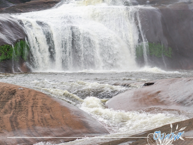 เช่ารถตู้วีไอพี เที่ยวบึงกาฬ เช่ารถตู้วีไอพี เที่ยวบึงกาฬ